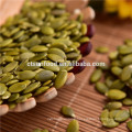 Chinese Inner Mongolia  factory big pumpkin seed without shell 2019 crop